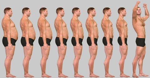 comment gagner 15 kg de muscle