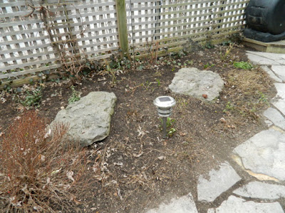 Leslieville Back Yard Spring Cleanup After by Paul Jung--a Toronto Organic Gardener Leslieville Back Yard Spring Cleanup After by Paul Jung--a Toronto Organic Gardener