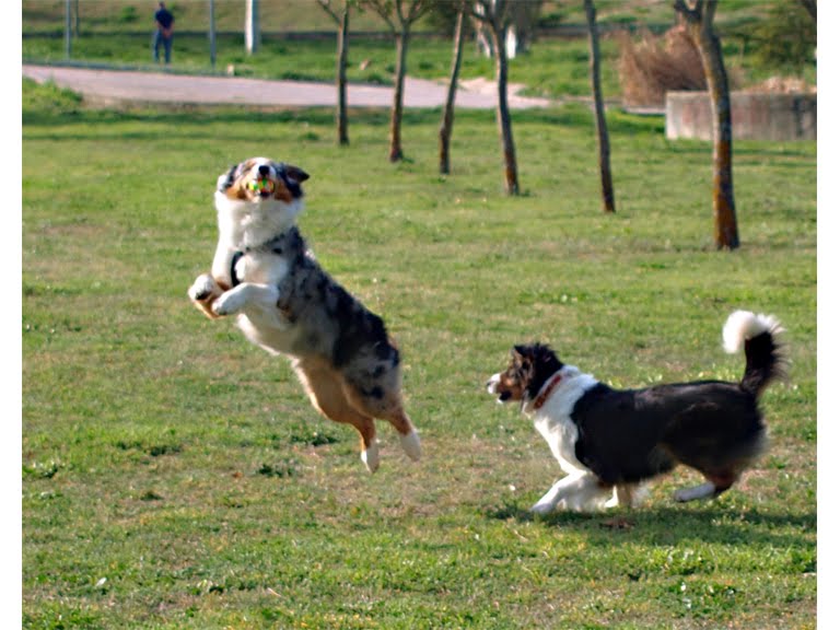 La líneas de mis peques