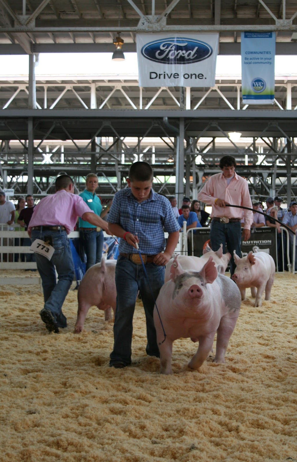 National Swine Registry World Pork Expo Crossbred Barrow Show Results