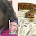 N36m Fraud: JAMB Staff’s Housemaid AKA "The Snake Girl” Accused Of Swallowing N36m Speaks