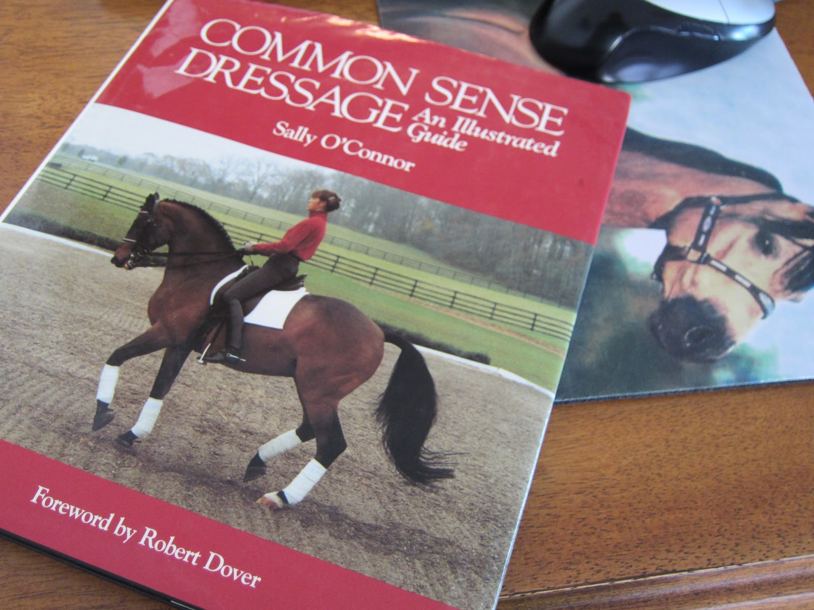 Memoirs of a Horse Girl Dressage Book Serendipity