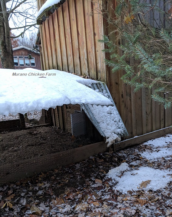 Chicken keeping in extreme winter weather. Surviving power outages and