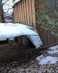 winter weather extreme chicken chickens coop keeping storm preparing ice