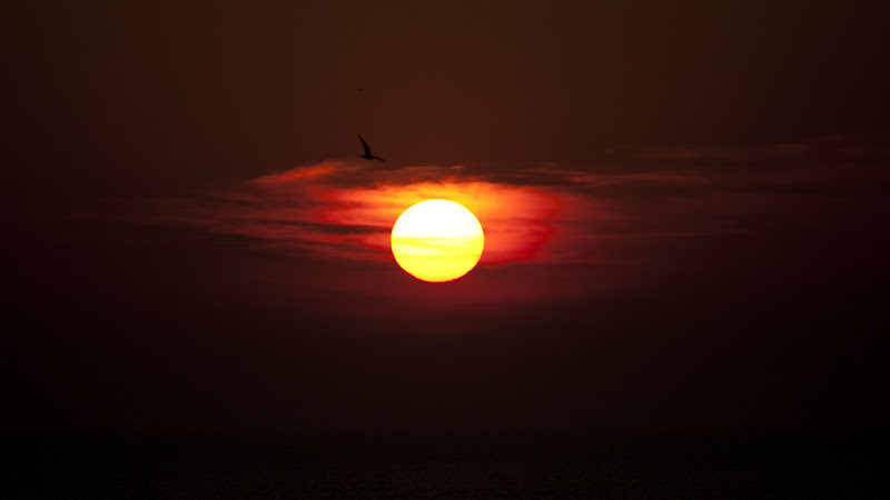 Best Sunset