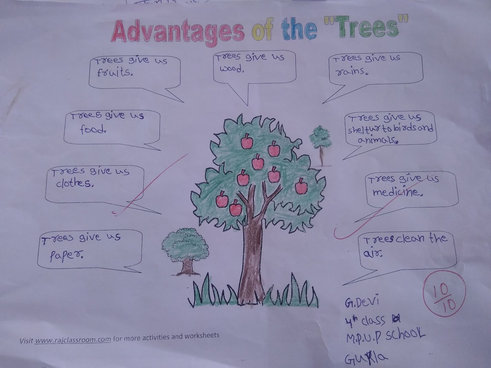 creative writing description of a tree