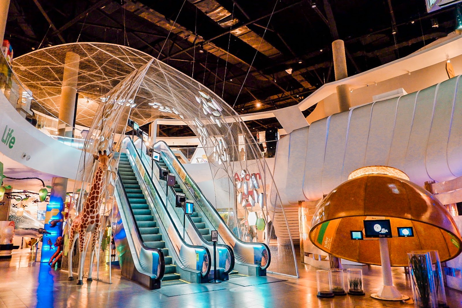 Experience Science Come Alive at The Mind Museum