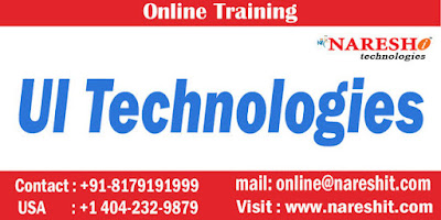  Ui Technologies Online Training