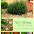 What's Blooming at Our Good Life