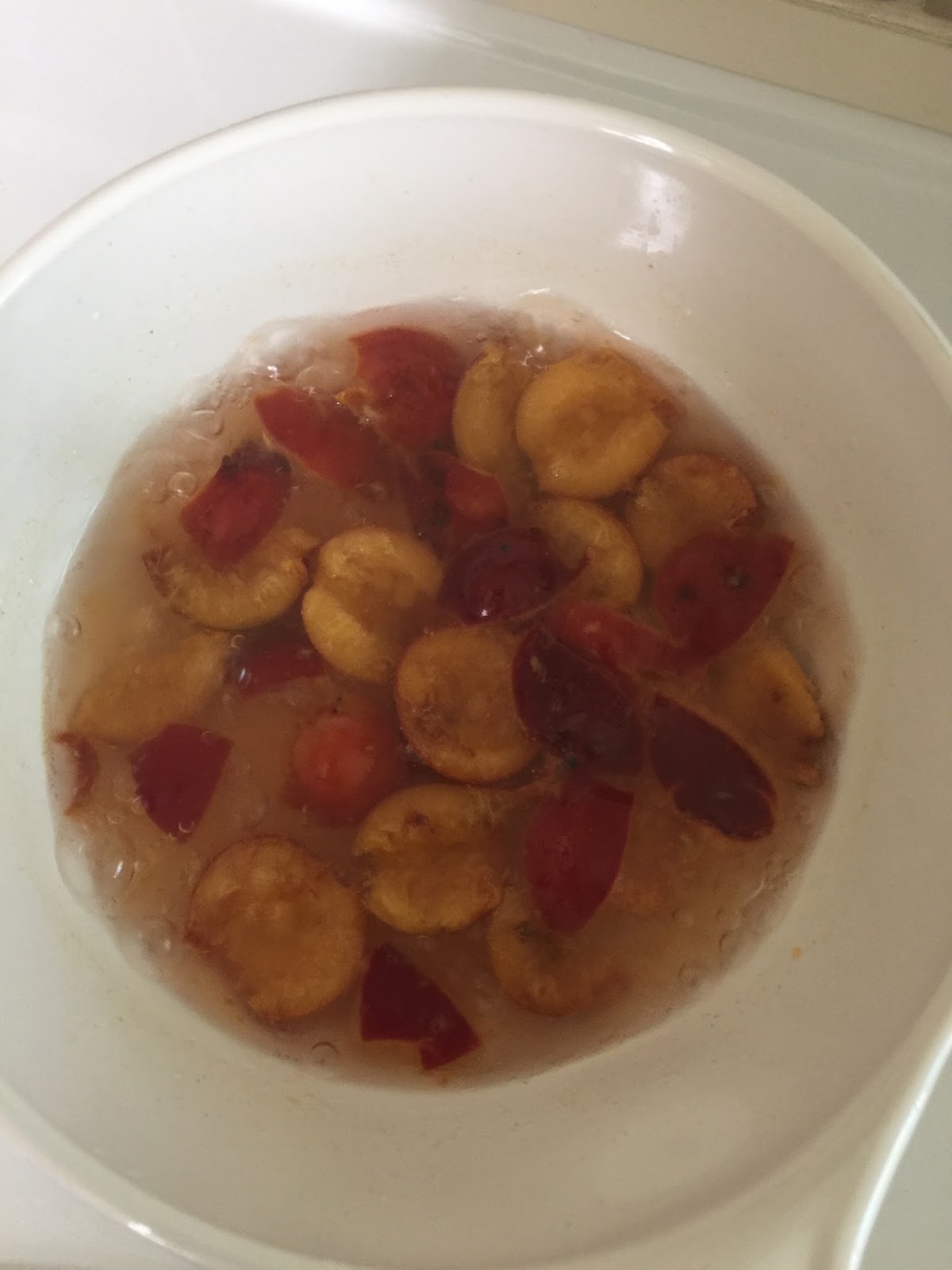 Lifelong learning The third degree Camp Plum!