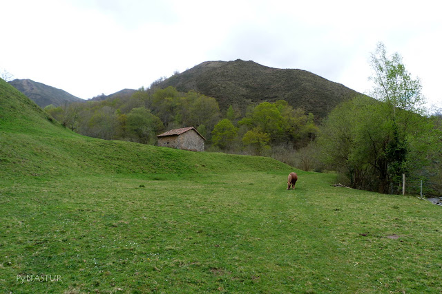 Ruta del Río Color - Piloña - Asturias Ruta del Río Color - Piloña - Asturias