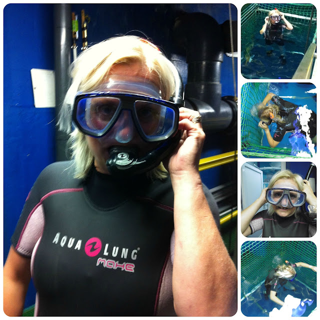 snorkelling with sharks at SEA LIFE London Aquarium