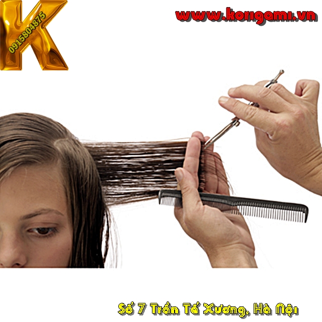BÀI CẮT TÓC 2 TẦNG BOB TRÊN LÁ ĐỘC ĐÁO TỪNG CHI TIẾT