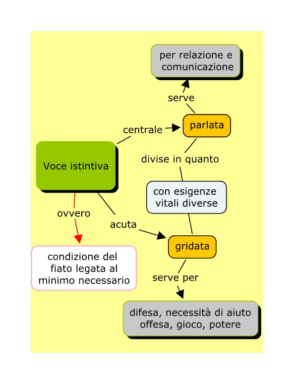 Arte del canto La mappa del canto tecnico