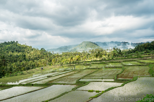 Pupuan - Bali Pupuan - Bali