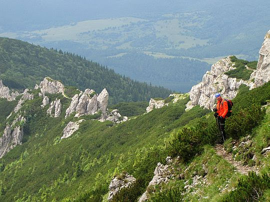 Widok Rzędowych Skał z południowego stoku Siwego Wierchu. Widok Rzędowych Skał z południowego stoku Siwego Wierchu.