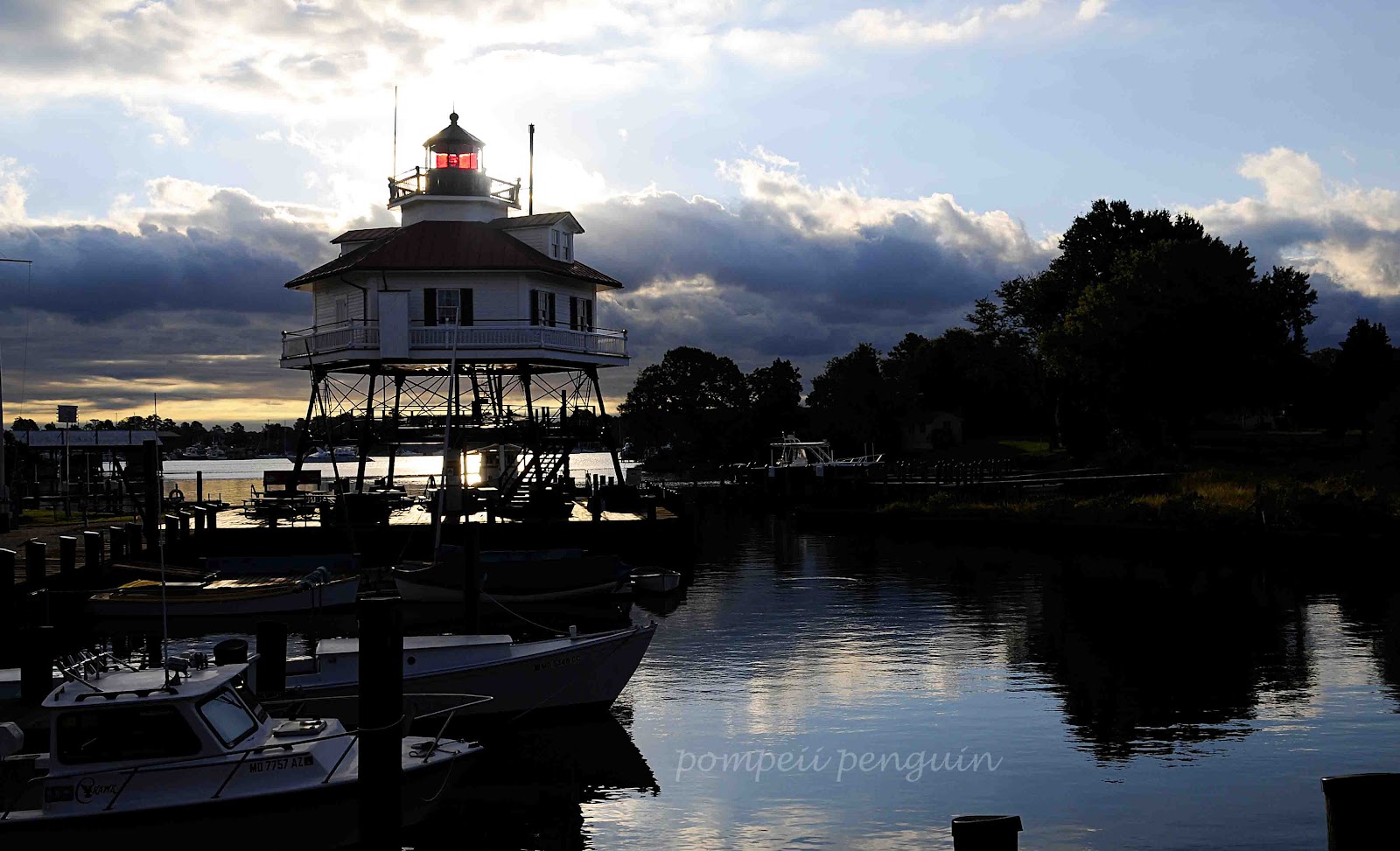 Pompeii Penguin Attempting to Fly Drum Point Lighthouse