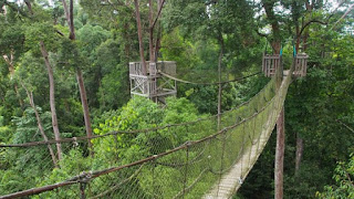 Kawasan Wisata Bukit Bingkirai