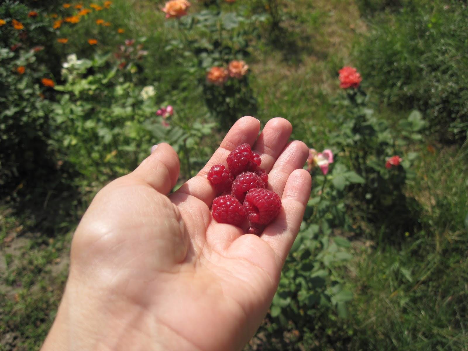 Марийкино детство