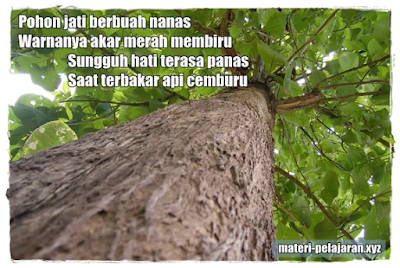 Kumpulan Pantun Cinta Romantis Pilihan | materi-pelajaran.xyz Pantun, Pantun Cinta, Pantun Rayuan, Pantun Romantis, Pantun Pilihan, Contoh Pantun,