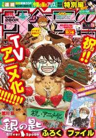 週刊少年サンデー2013年07号