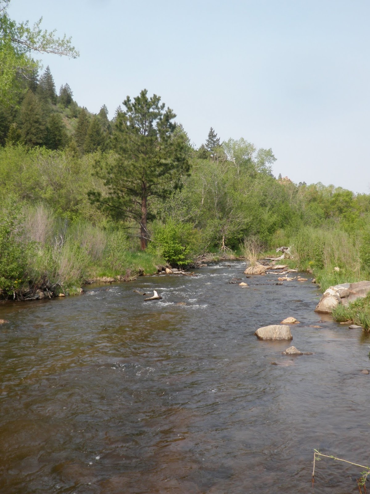 tenkara-on-the-fly-6-5-11-6-12-11