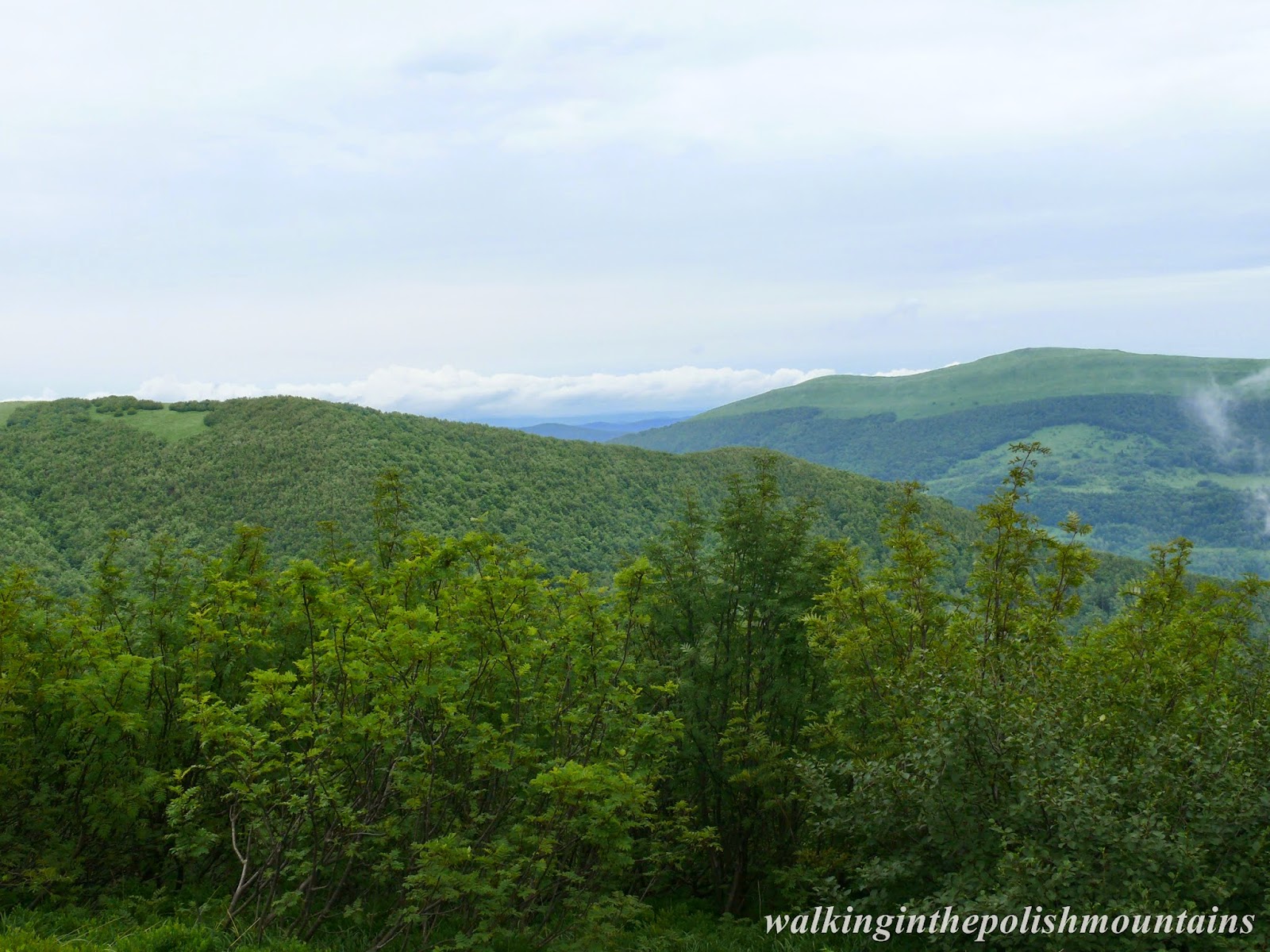 Bieszczady Mountains