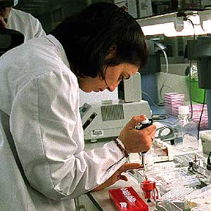 Riscos biologicos em laboratorios