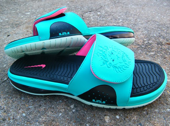 lebron 10 slides