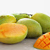 Aneka Manfaat Buah Mangga Untuk Kesehatan dan Kecantikan