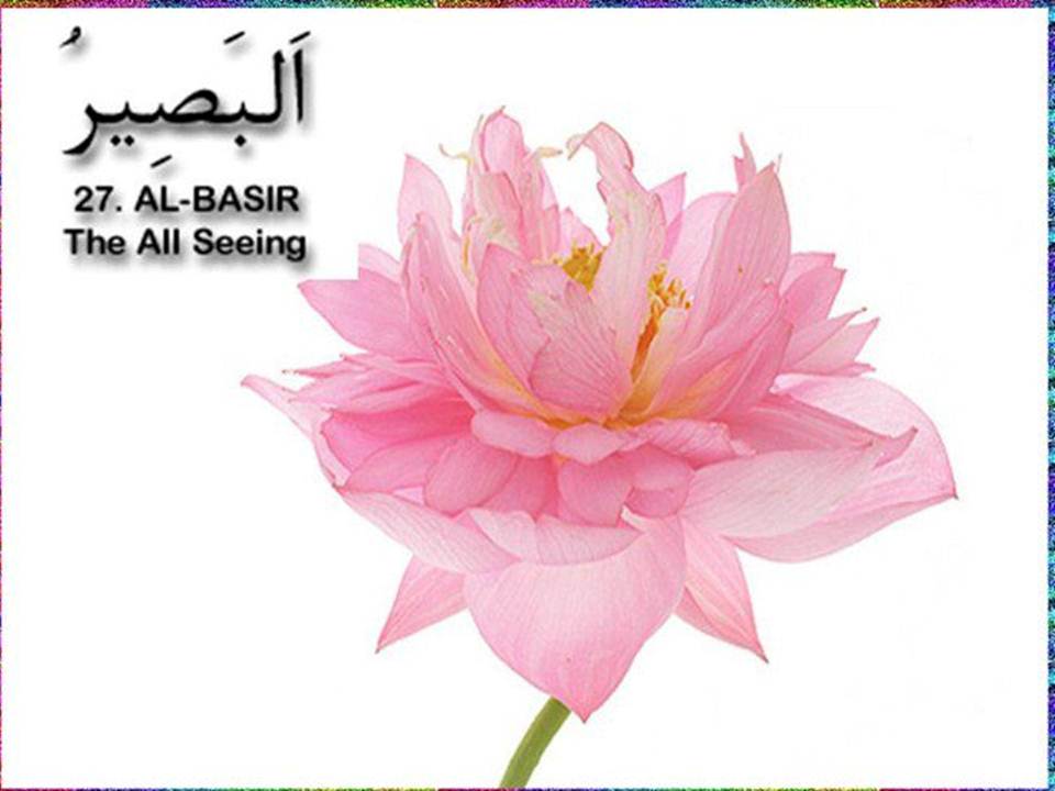 Taufik Hidayah: Al- Basir