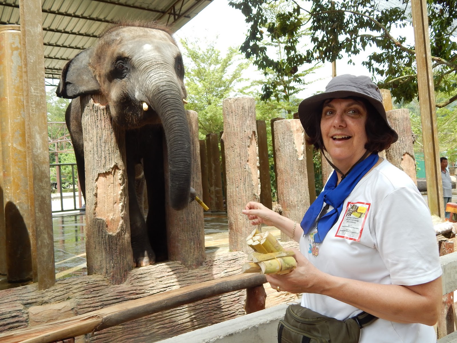 Travel the World with Jann by Jann Segal Visit Malaysia and Feed the