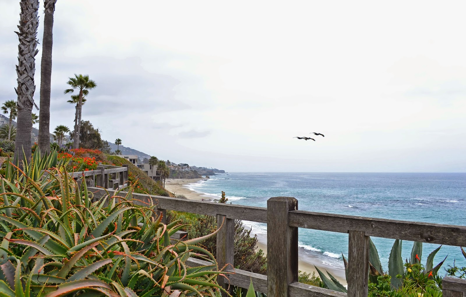 Mash Elle beauty blogger travels to Laguna Beach | what to do in Laguna beach | California travel | trip to California | Laguna Hills