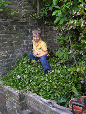 giant compost heap