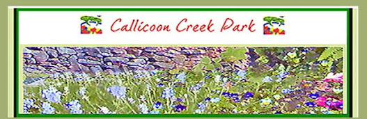 The Callicoon Creek Park