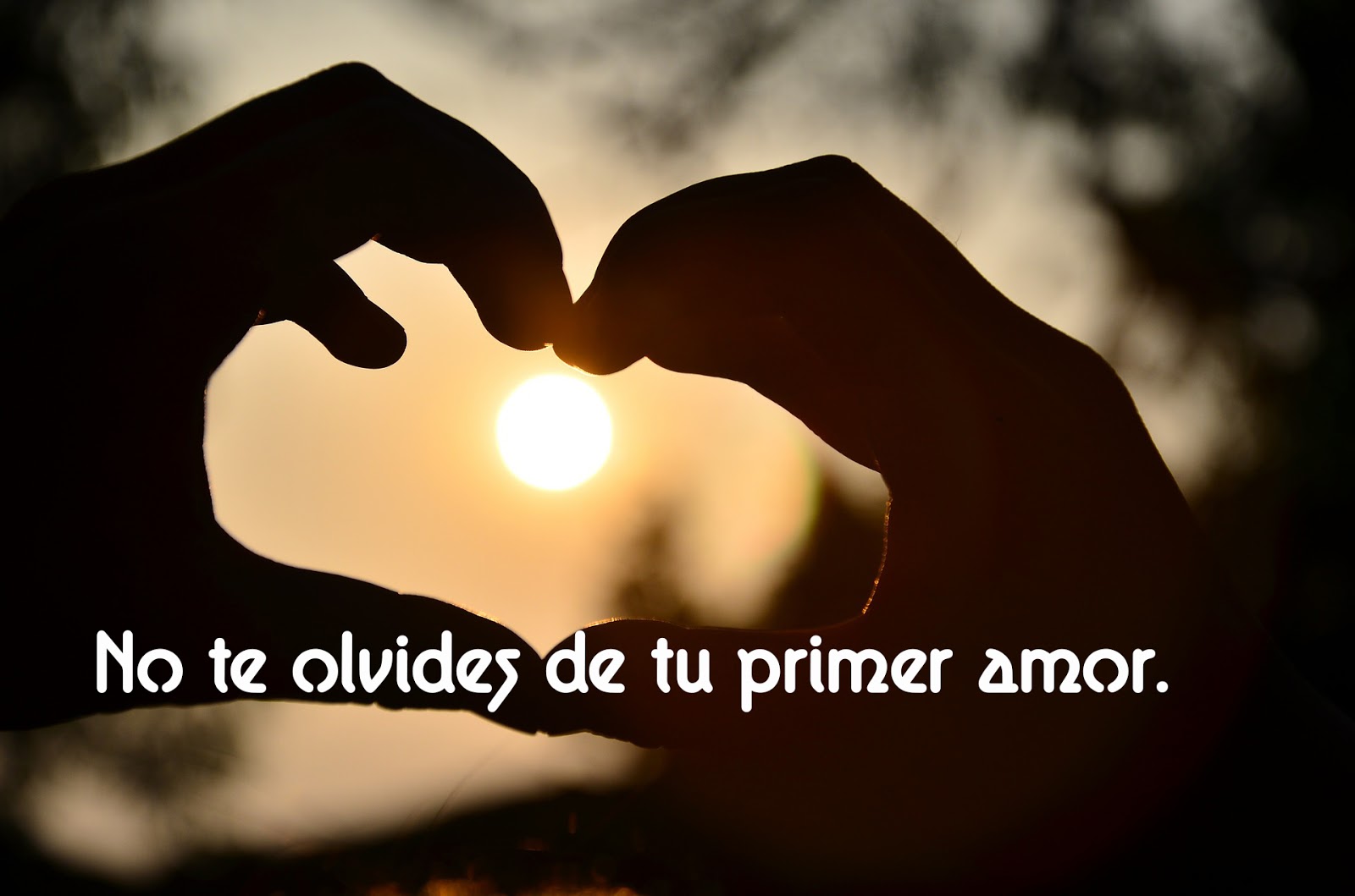 Palabra Diaria Ministerios Ciudad de Dios ¡No olvides tu primer amor!