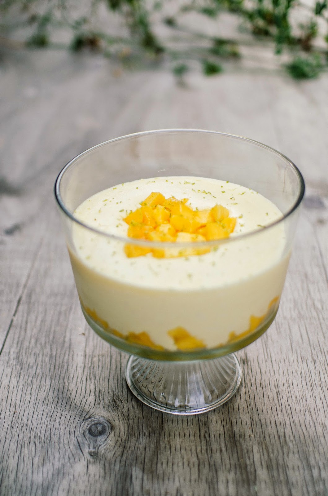 Mango and Lime Parfait | The Law Student Diary