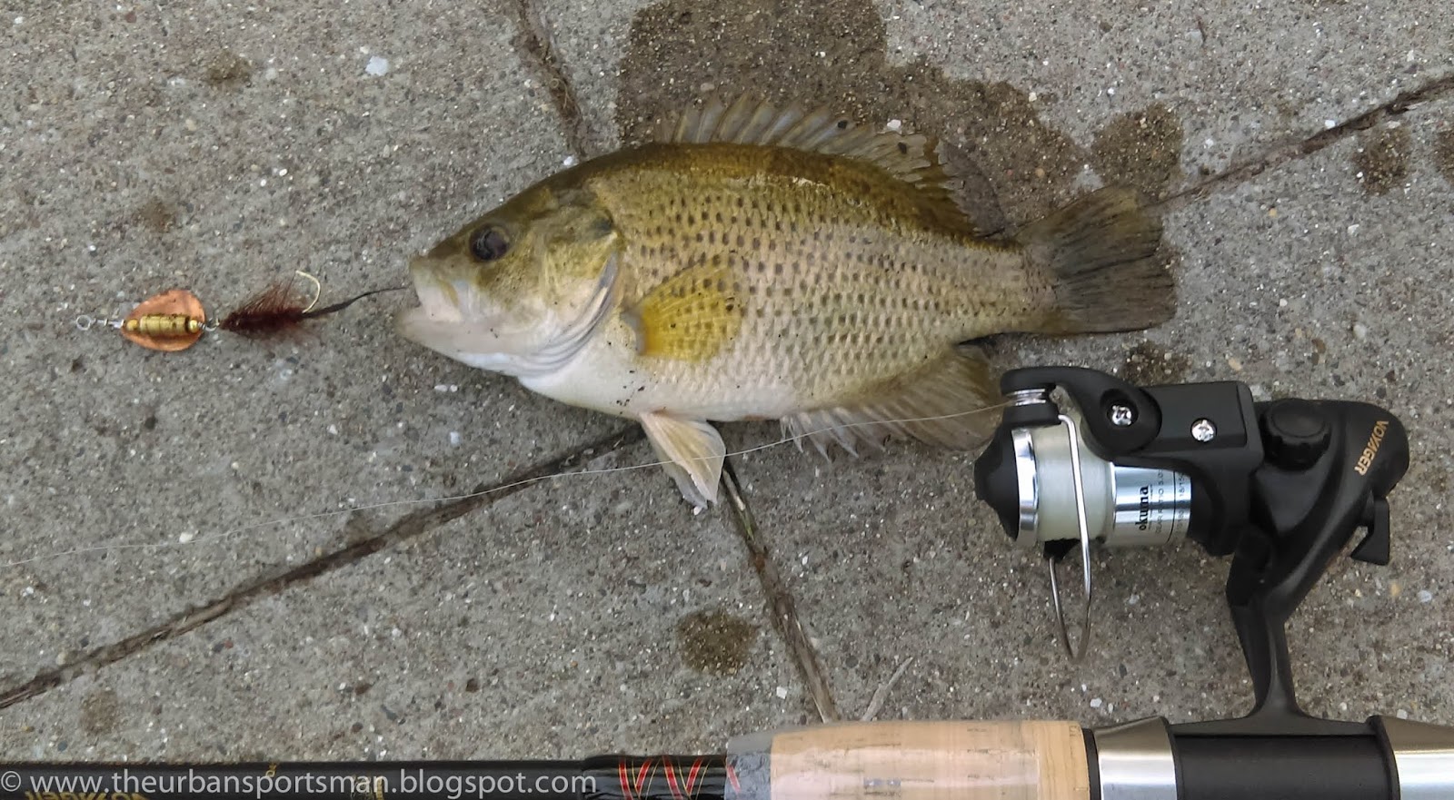 okuma voyager travel rod