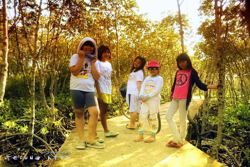 hutan bakau untung jawa