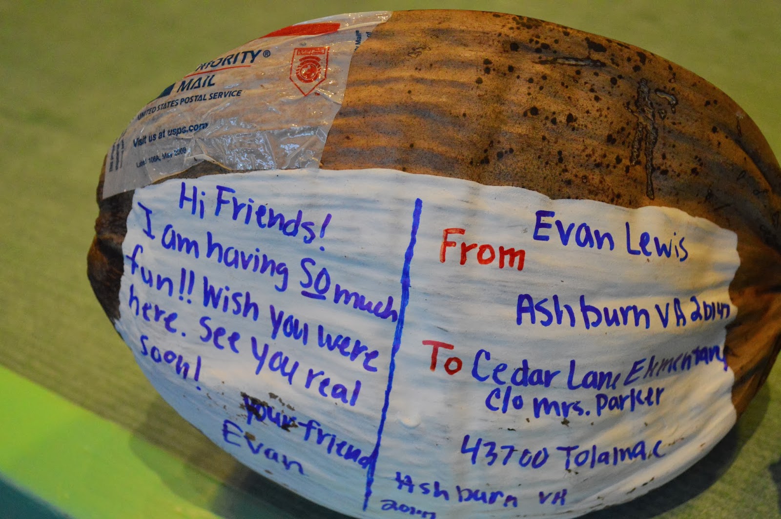 Two Magical Moms Did You Know that You Can Mail a Coconut from Disney