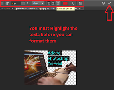 Screenshot: The point text type