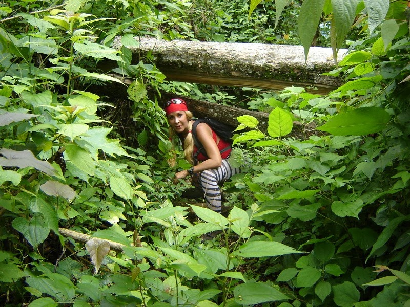 En La Cima Rosa Westermeyer Los Chorros de Cura