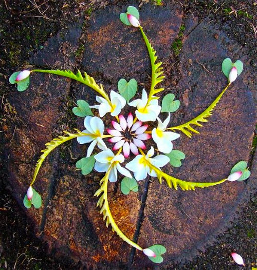 mandala creada con petalos y flores