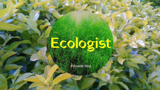Ecologist meaning 