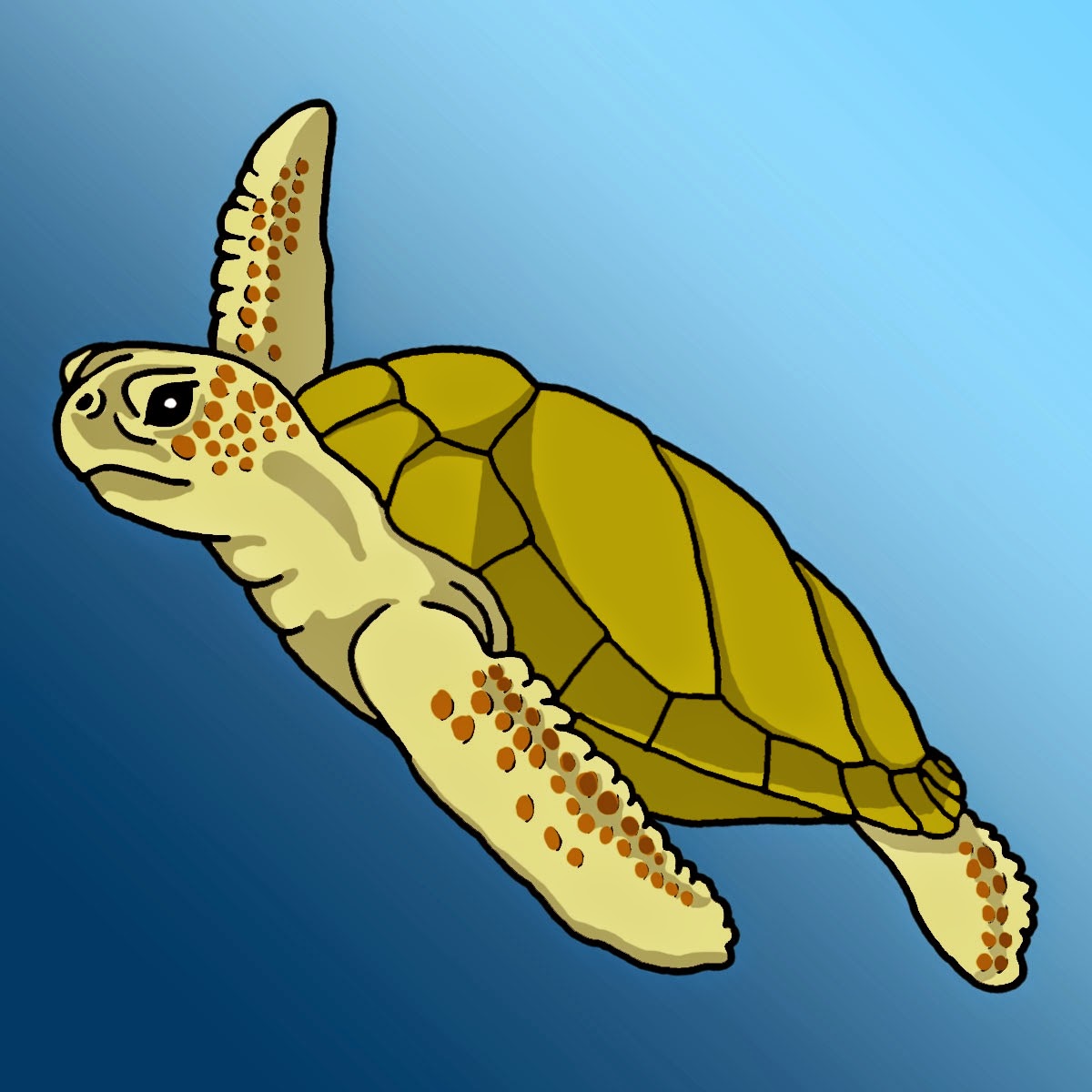 turtle free printable coloring pages coloring.filminspector.com