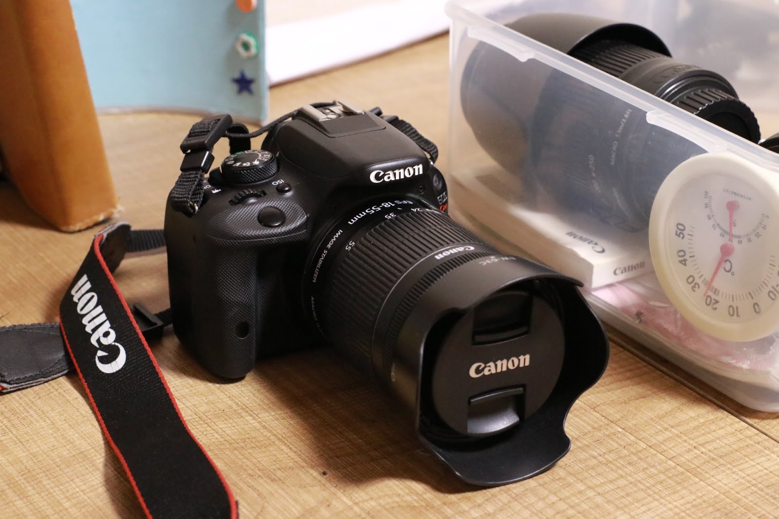 A Normal Life.: 【カメラ】EOS80Dを初稼働、EF-S18-135ｍｍ F3.5-5.6