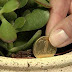 WANT TO ATTRACT A LOT OF MONEY IN YOUR HOUSE? HERE’S HOW WITH FENG SHUI!