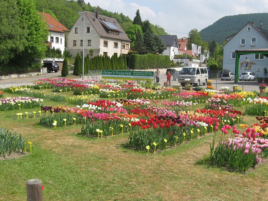 Gönningen Gönningen