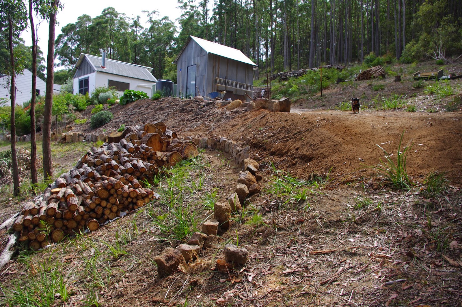 Excavations for the new shed have begun