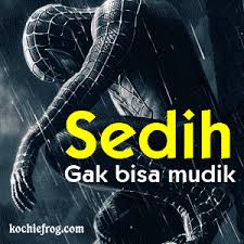 Gambar DP BBM Mudik Lebaran 2016 / 1437H (Lucu, Gokil dan Seru) Gambar DP BBM Mudik Lebaran 2016 / 1437H (Lucu, Gokil dan Seru)